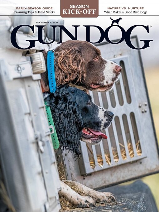 Cover image for Gun Dog